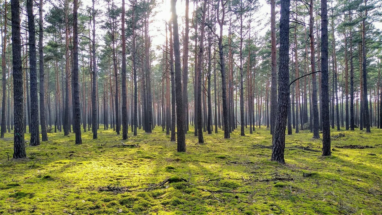 Bild zum Thema: Den Worten müssen Taten folgen