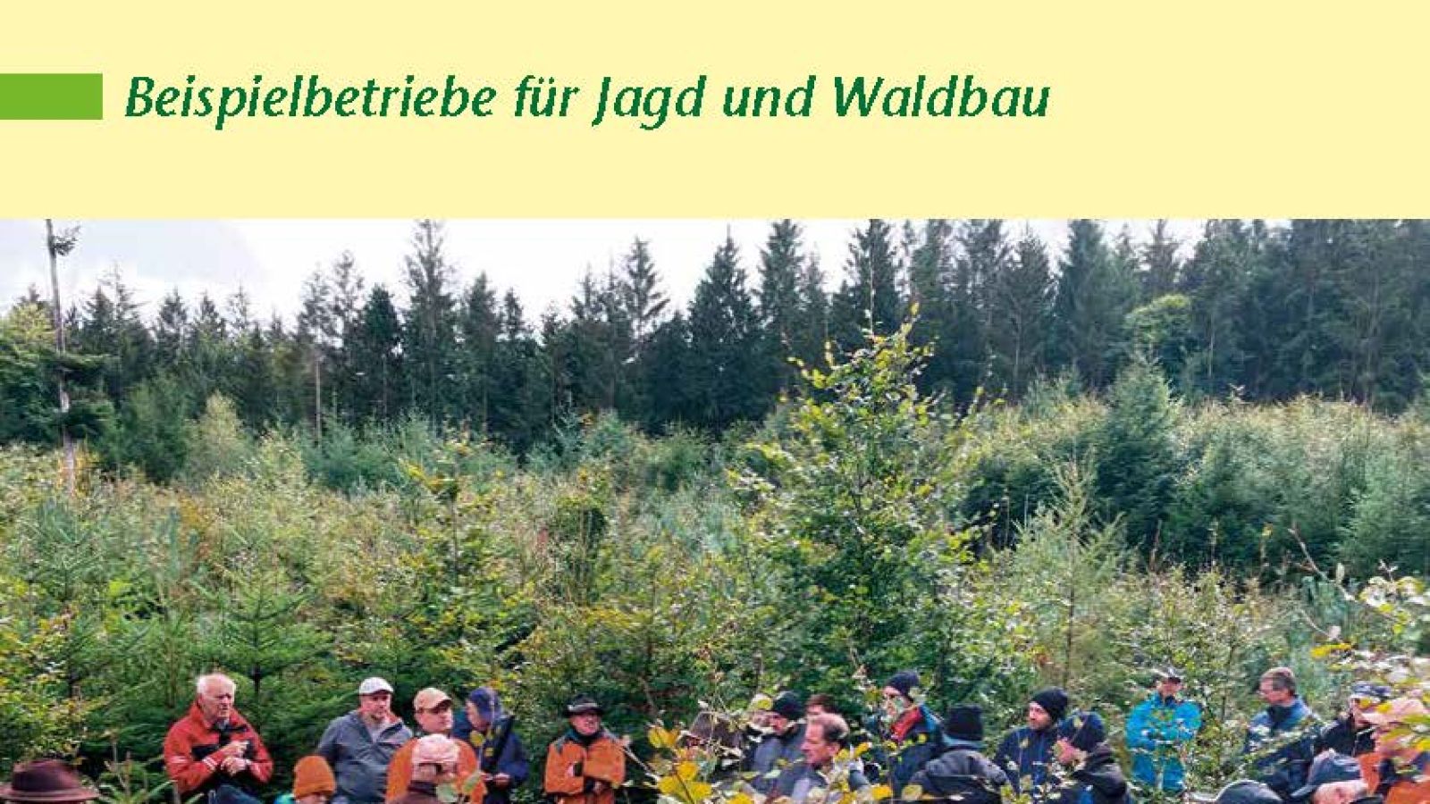 Aktuelle Ökojagd Verbandszeitschrift