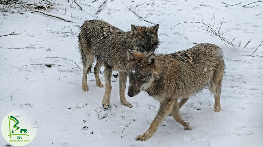 Bild zu: Zusammenarbeit trotz erheblicher Differenzen
